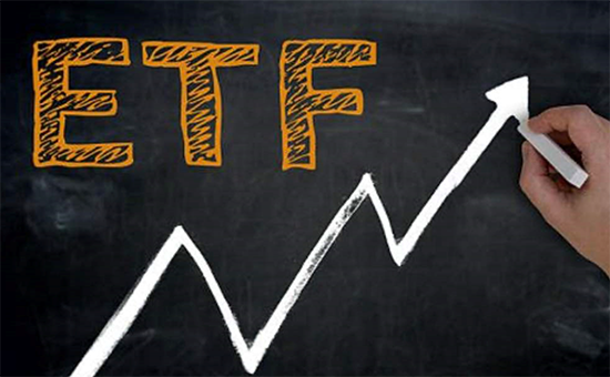 ETF5503400426.png
